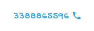 3388865596 